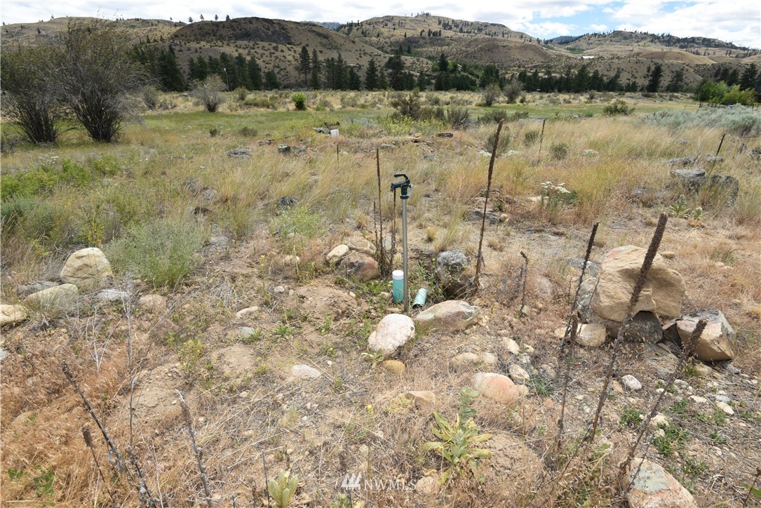 426 Twisp Carlton Road Twisp, WA 98856 - Photo 35 of 40 Gallery Image 35