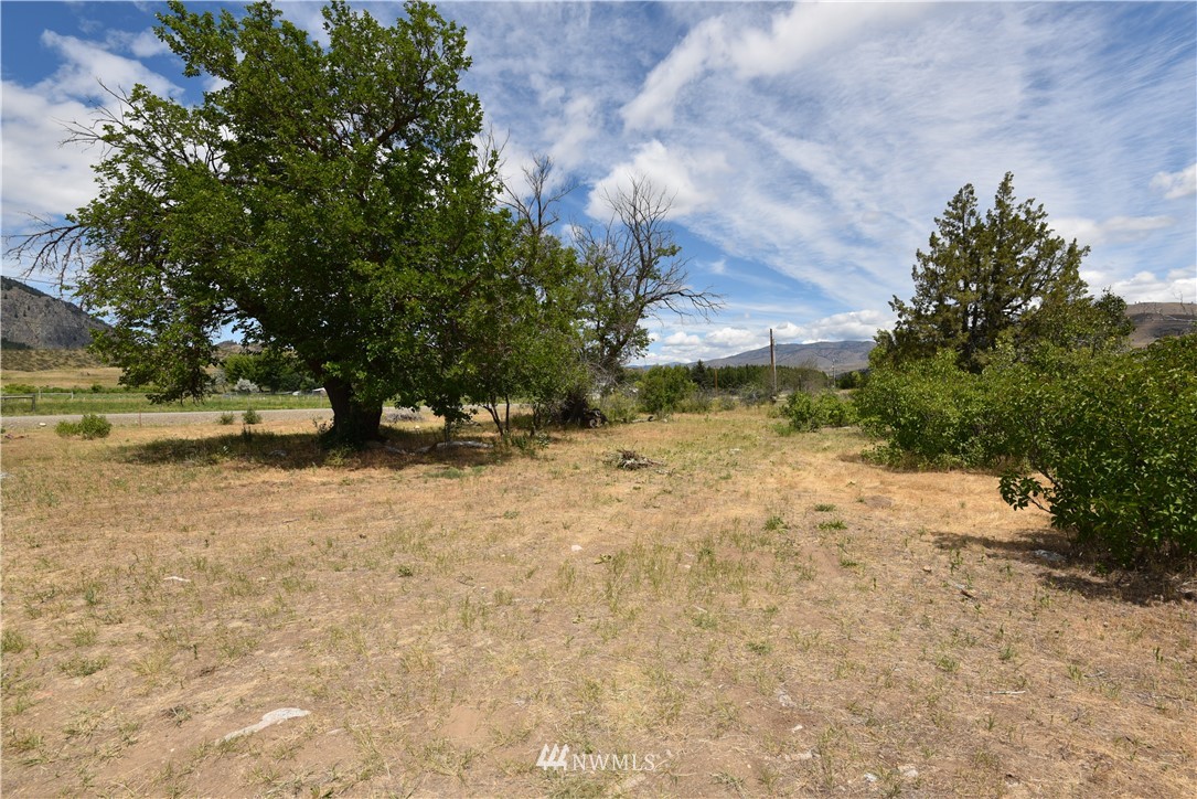 426 Twisp Carlton Road Twisp, WA 98856 - Photo 8 of 40 Gallery Image 8