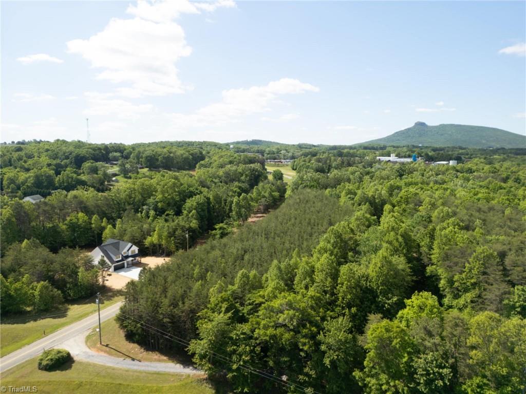 482 Carson Road Pilot Mountain, NC 27041 - Photo 2 of 41