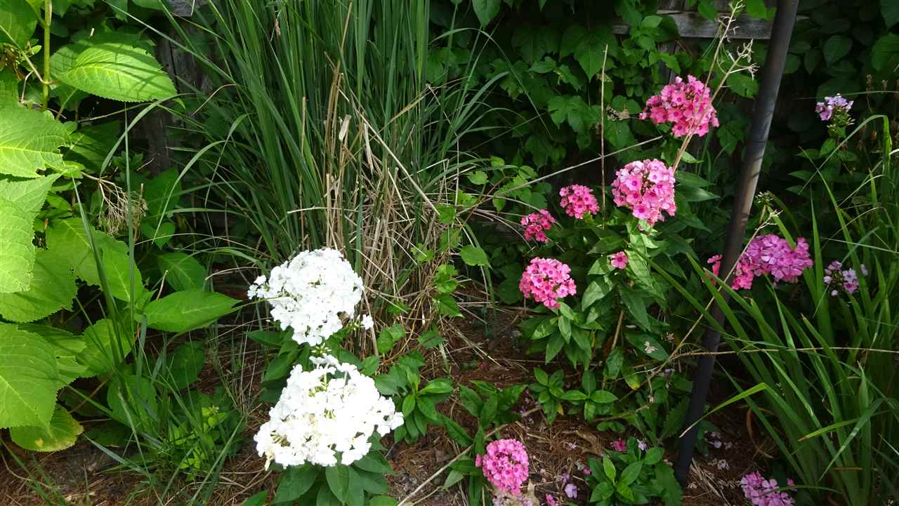 22 Hampton Falls Road Exeter, NH 03833 - Photo 28 of 40