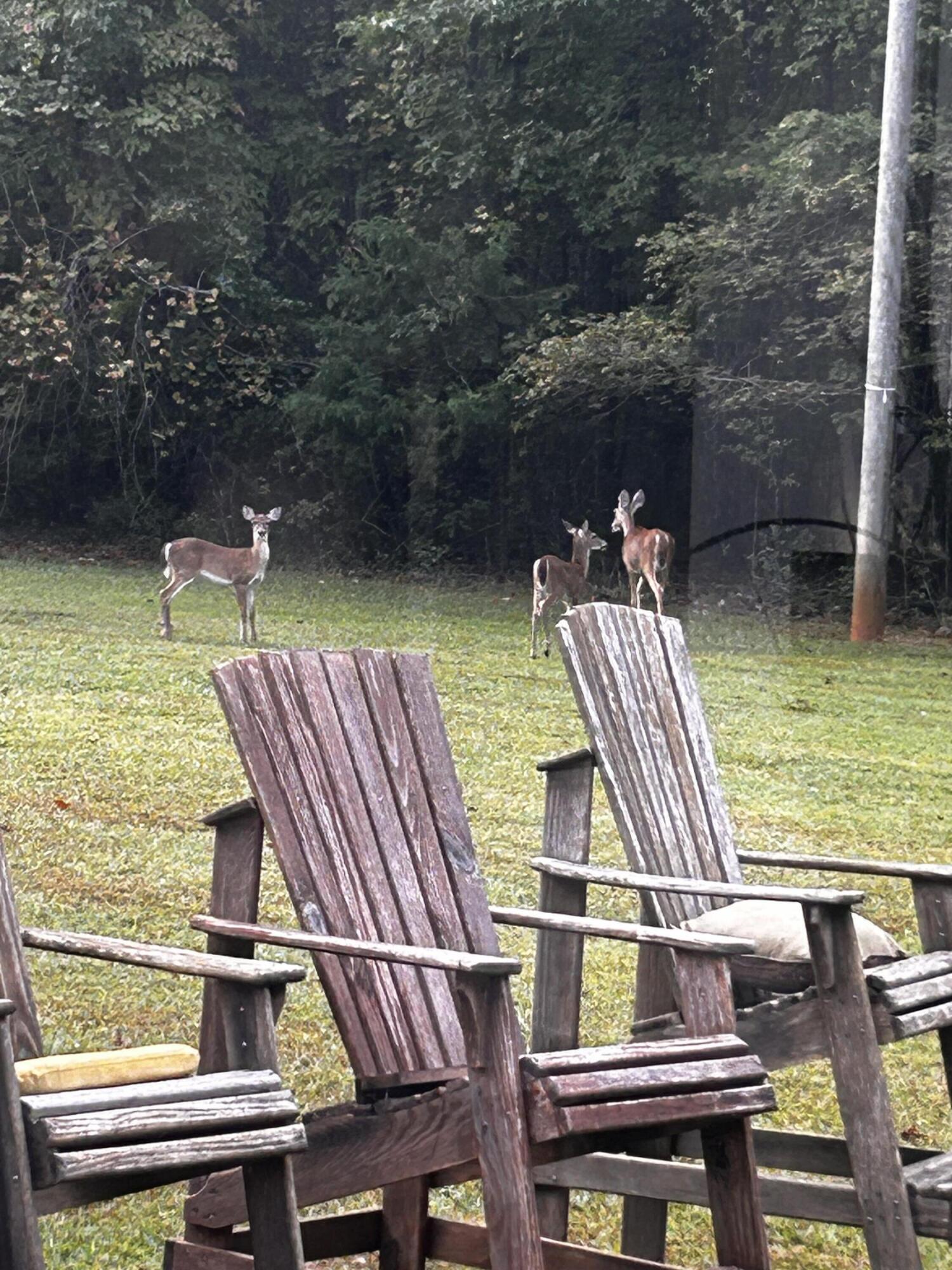 1050 Jones Martin Road Lincolnton, GA 30817 - Photo 29 of 31 IMG_9620