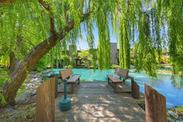 a view of park space