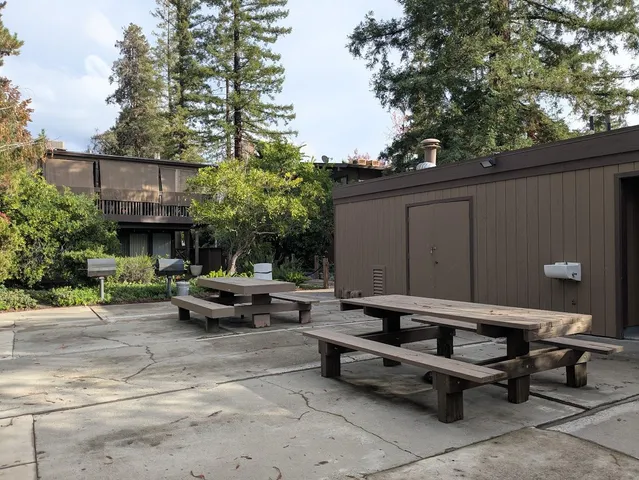 a view of a garden with trees