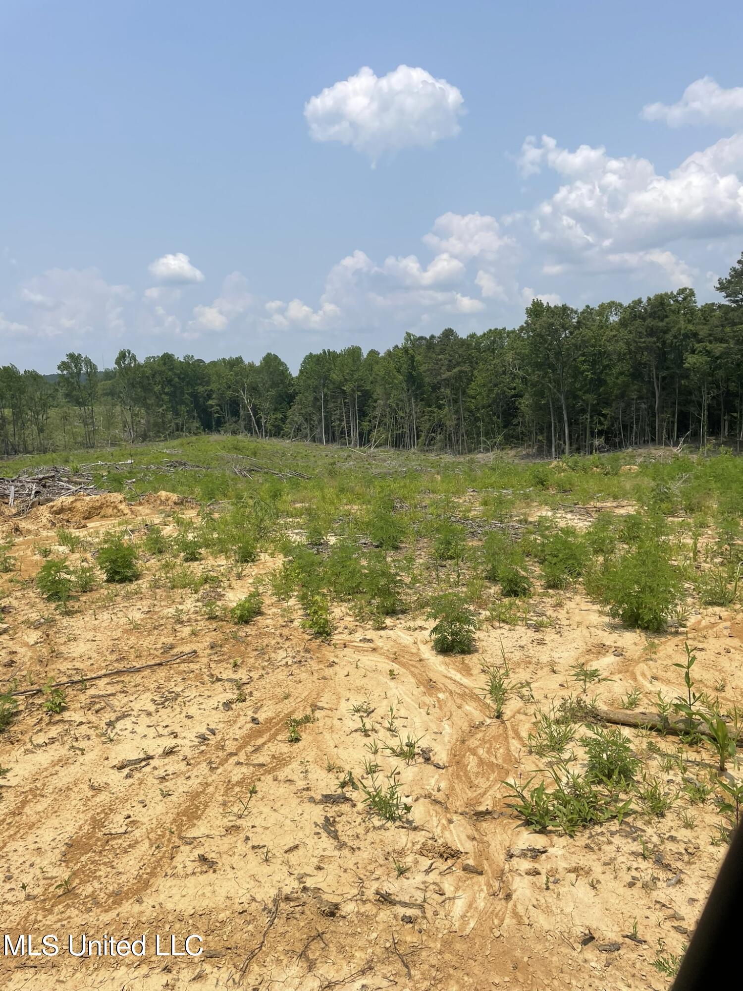 Hendrix/pine Grove Road Coffeeville, MS 38922 - Photo 14 of 17 IMG_6041 154o