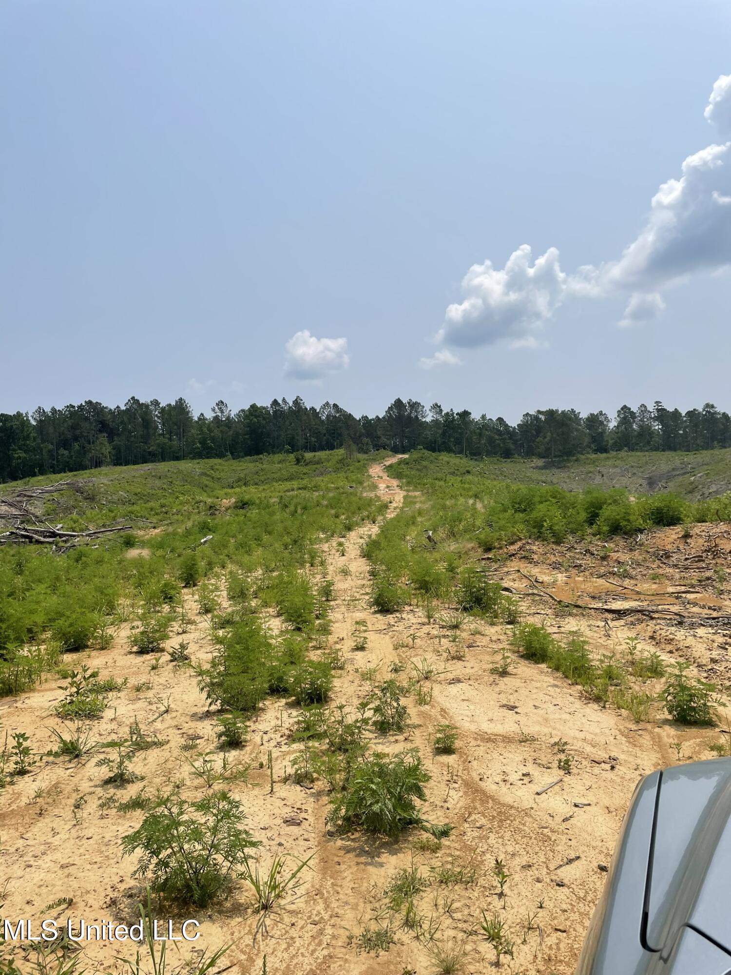 Hendrix/pine Grove Road Coffeeville, MS 38922 - Photo 16 of 17 IMG_6043 154p