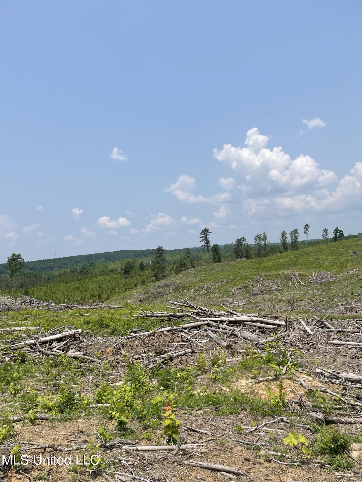 Hendrix/pine Grove Road Coffeeville, MS 38922 - Photo 10 of 17 IMG_6034 154i
