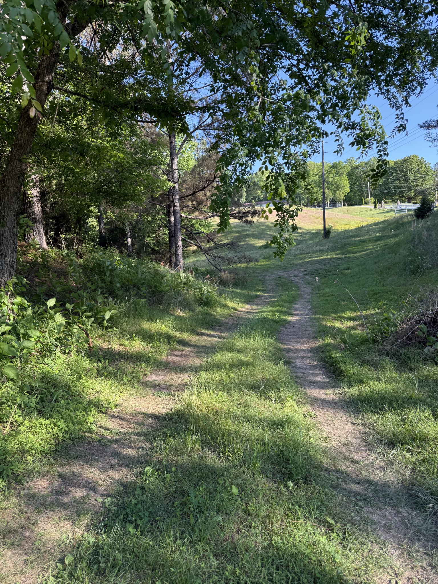 0 Poplar Grove Road McEwen, TN 37101 - Photo 11 of 51 a view of a park with large trees