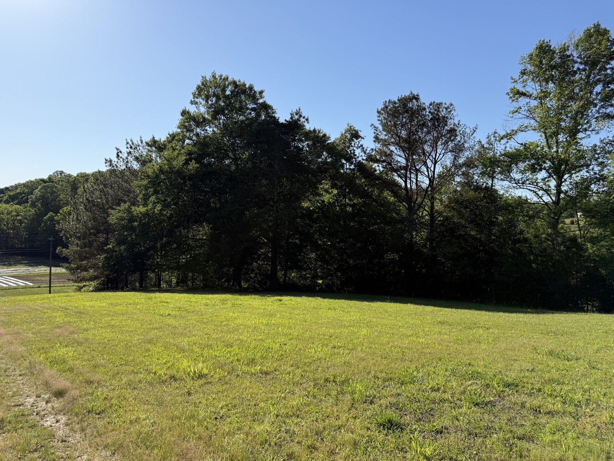 0 Poplar Grove Road McEwen, TN 37101 - Photo 12 of 51 a view of an outdoor space and swimming pool