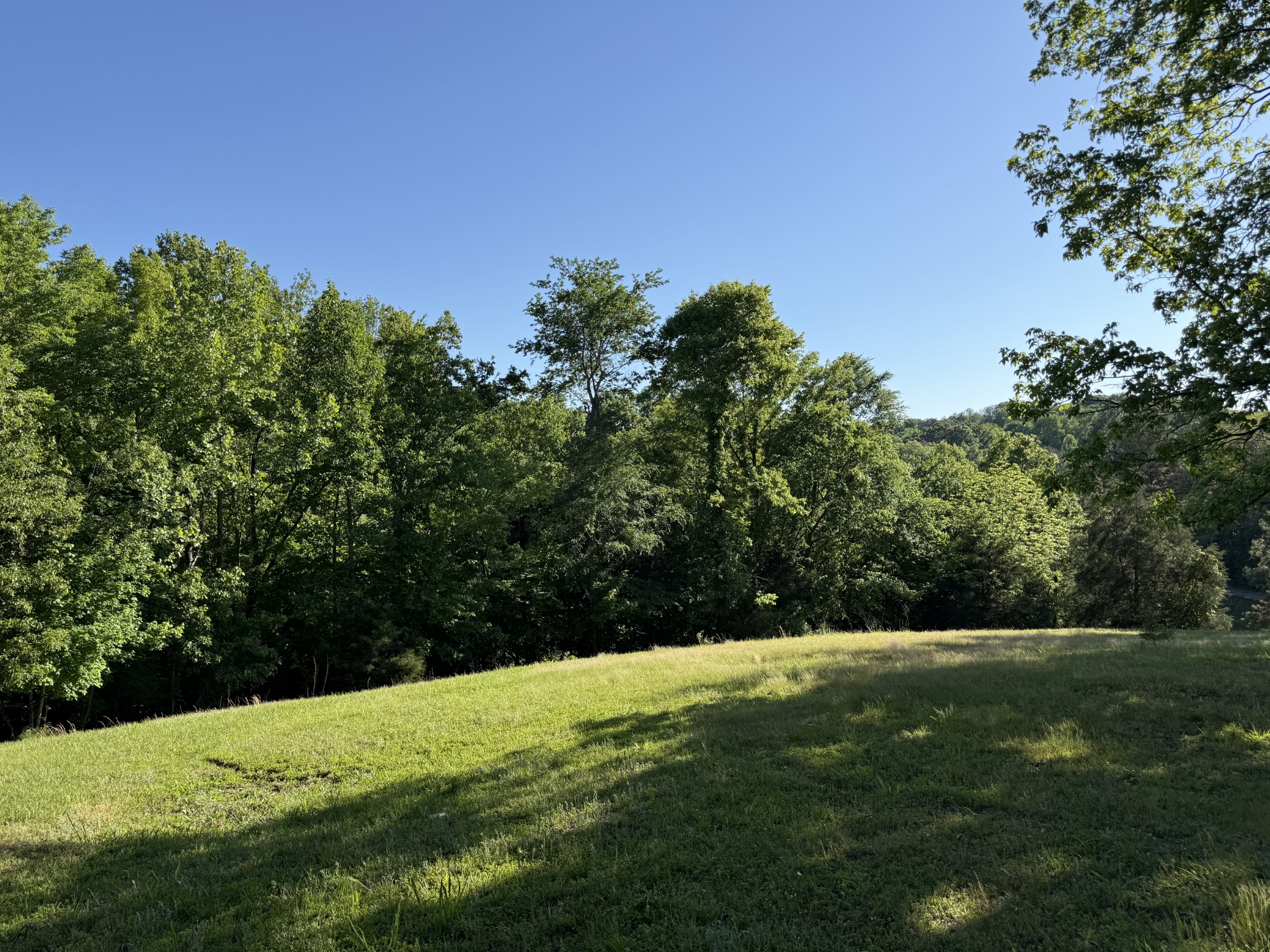 0 Poplar Grove Road McEwen, TN 37101 - Photo 14 of 51 a view of outdoor space with green field and trees all around