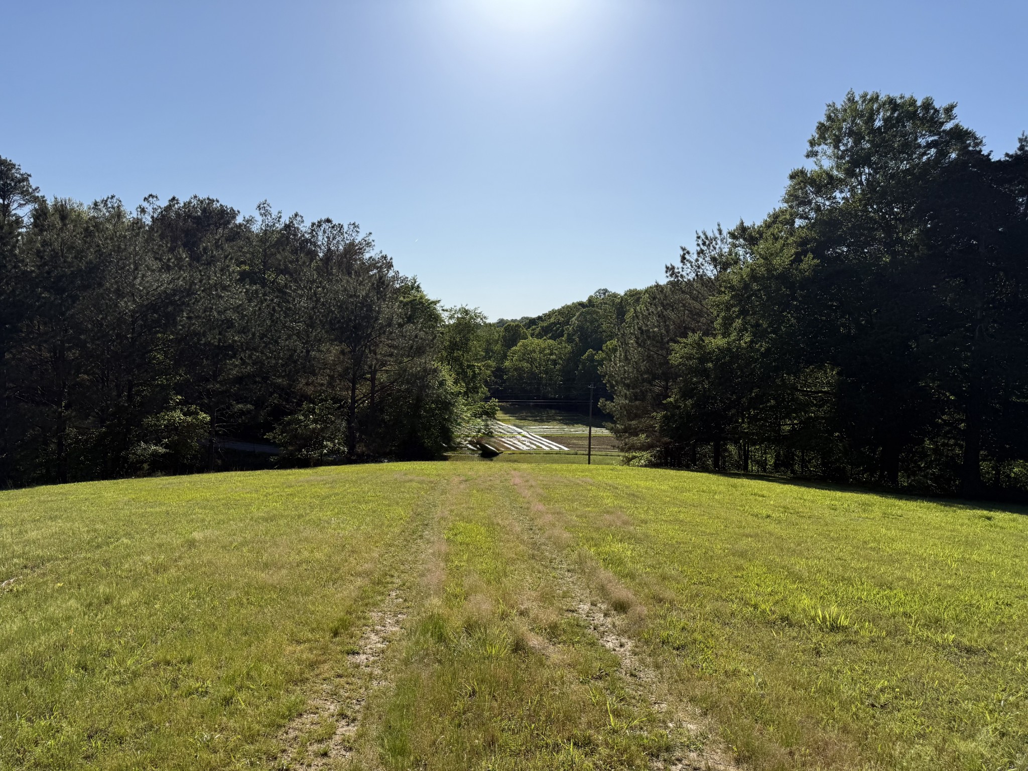 0 Poplar Grove Road McEwen, TN 37101 - Photo 15 of 51