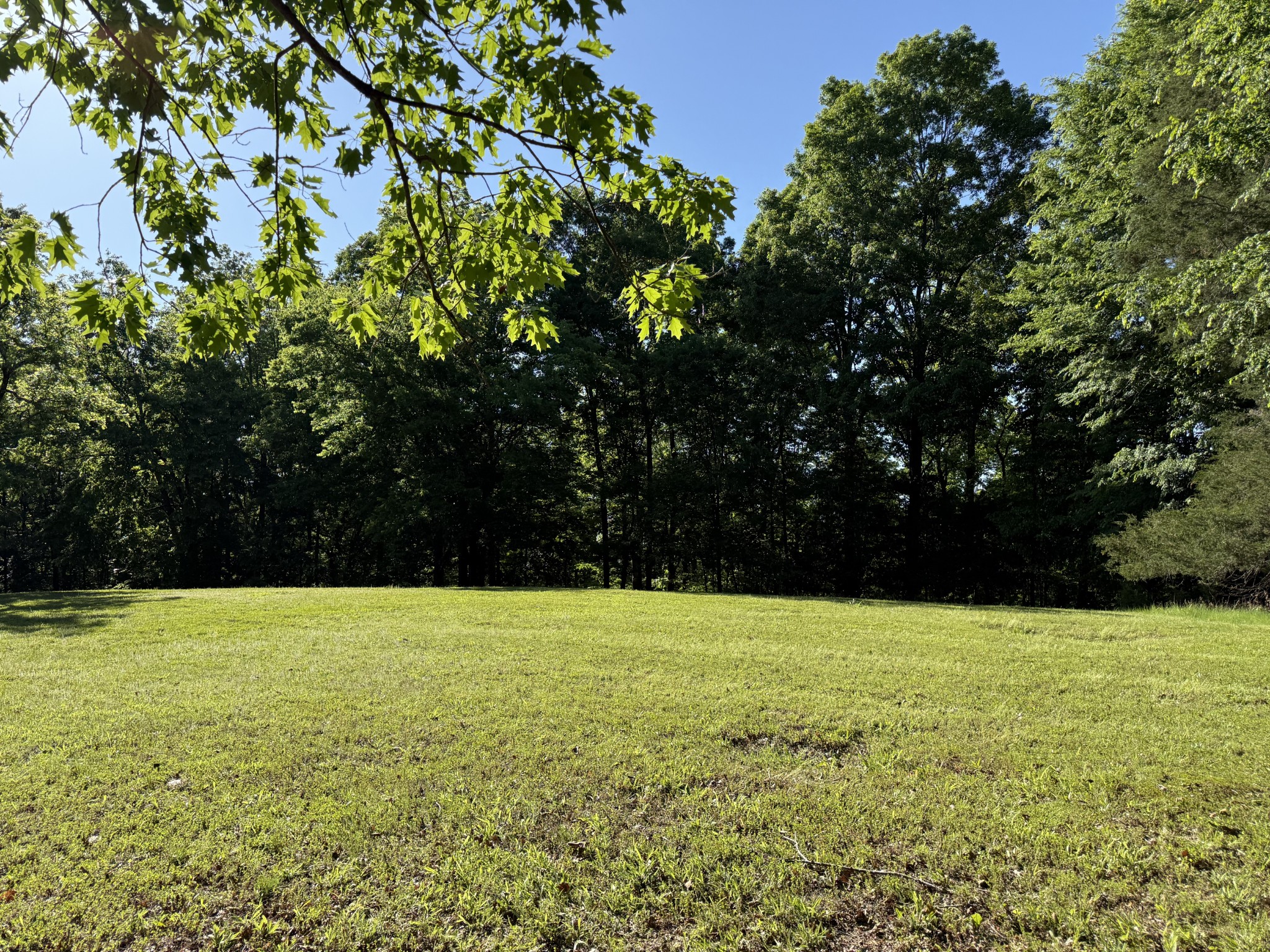 0 Poplar Grove Road McEwen, TN 37101 - Photo 16 of 51 a view of pool with large trees