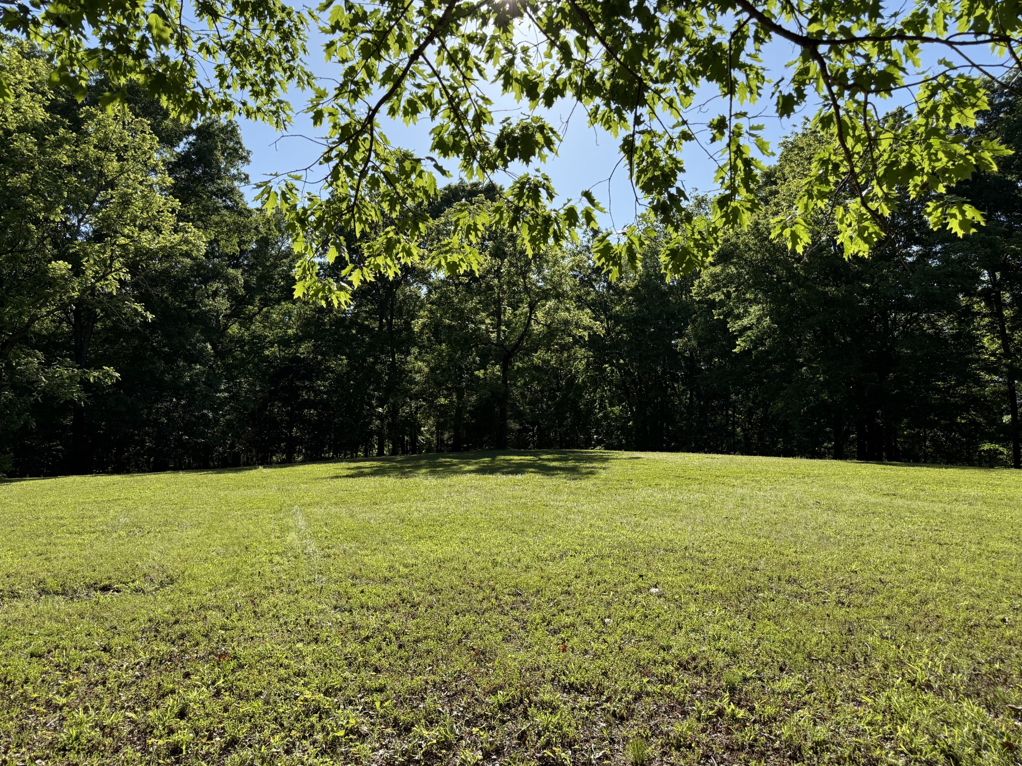 0 Poplar Grove Road McEwen, TN 37101 - Photo 18 of 51 a view of an outdoor space and a yard