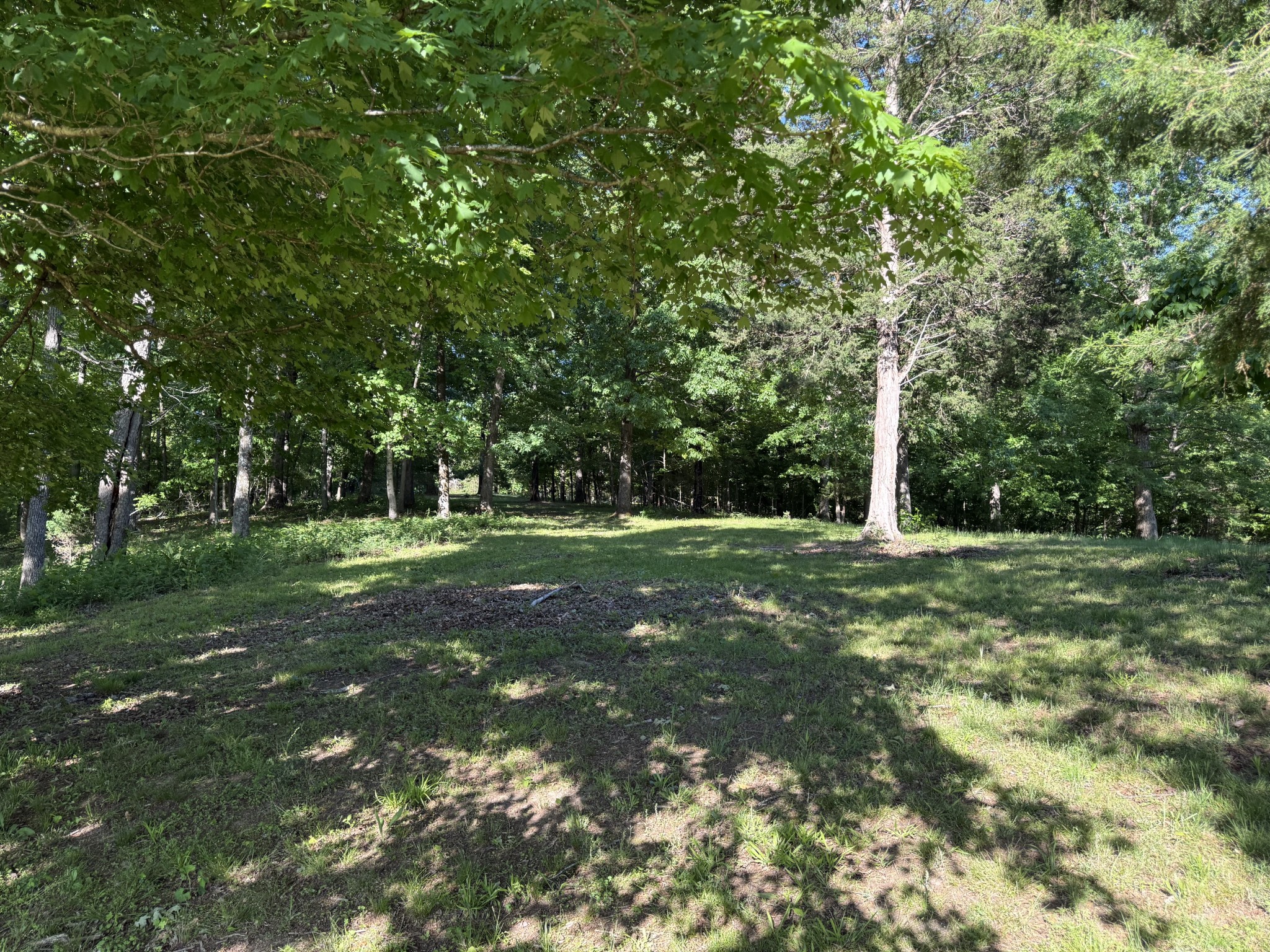 0 Poplar Grove Road McEwen, TN 37101 - Photo 19 of 51 a view of a tree in a yard