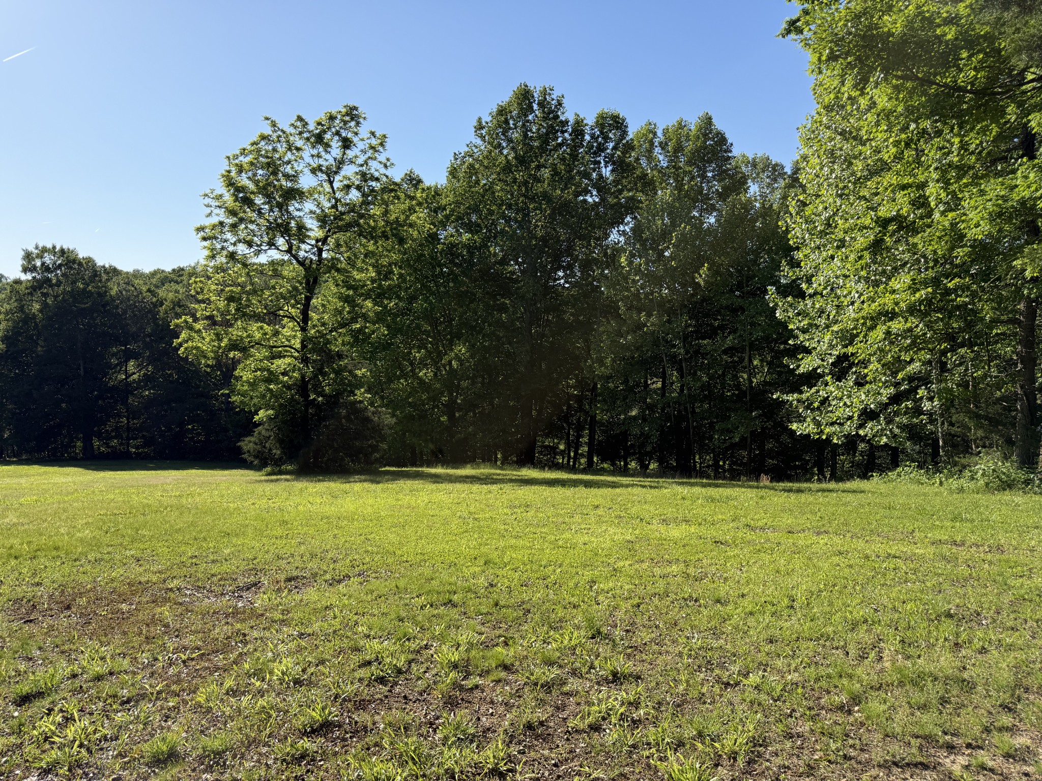 0 Poplar Grove Road McEwen, TN 37101 - Photo 20 of 51 a view of a field with an trees in the background