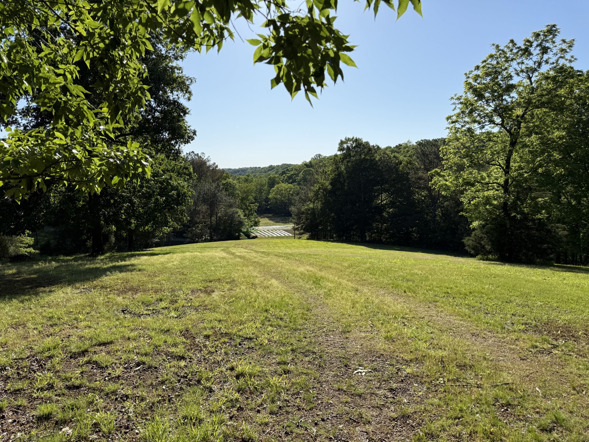 0 Poplar Grove Road McEwen, TN 37101 - Photo 2 of 51 a yard with a trees