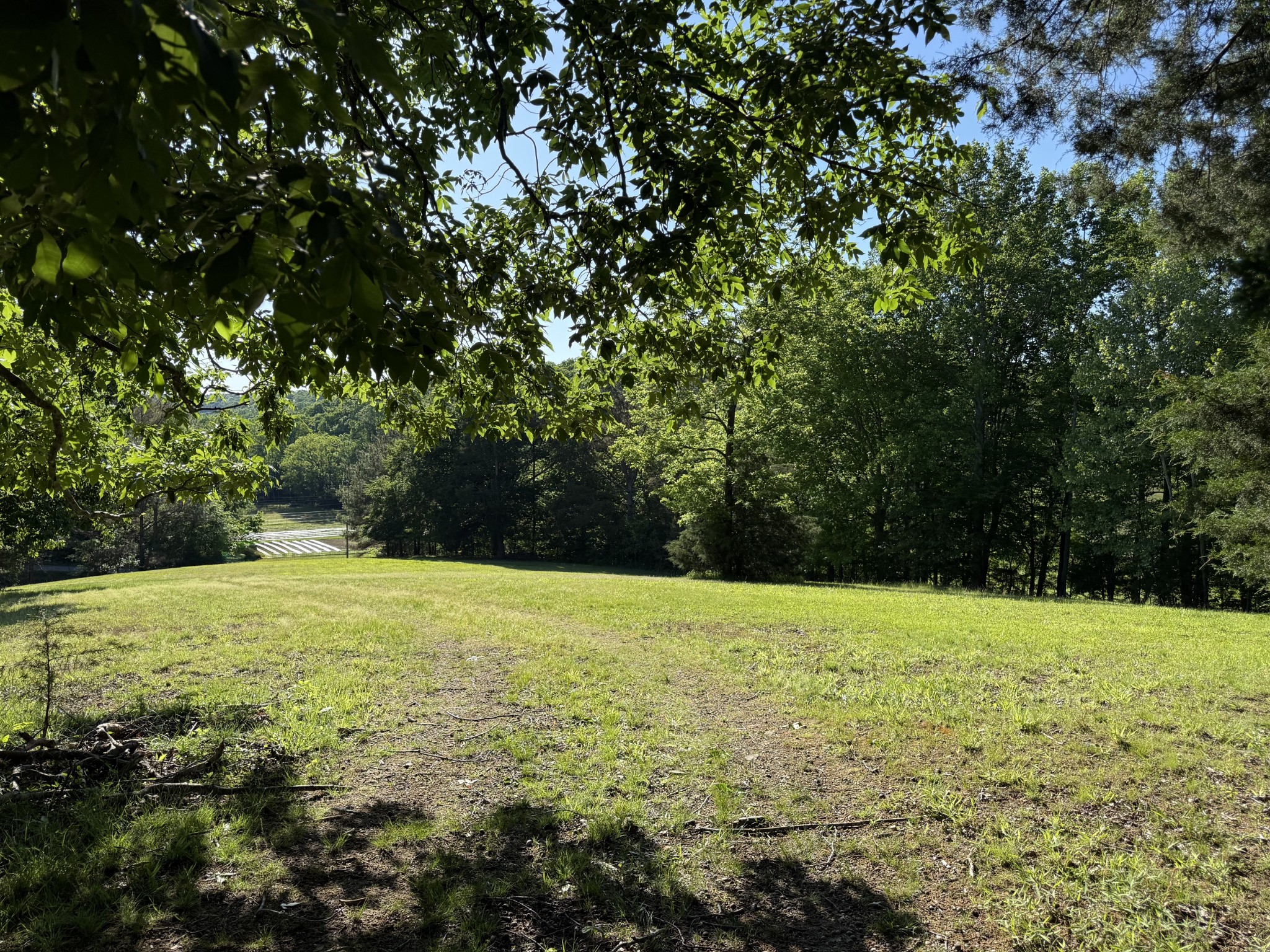 0 Poplar Grove Road McEwen, TN 37101 - Photo 21 of 51 a view of an outdoor space and yard