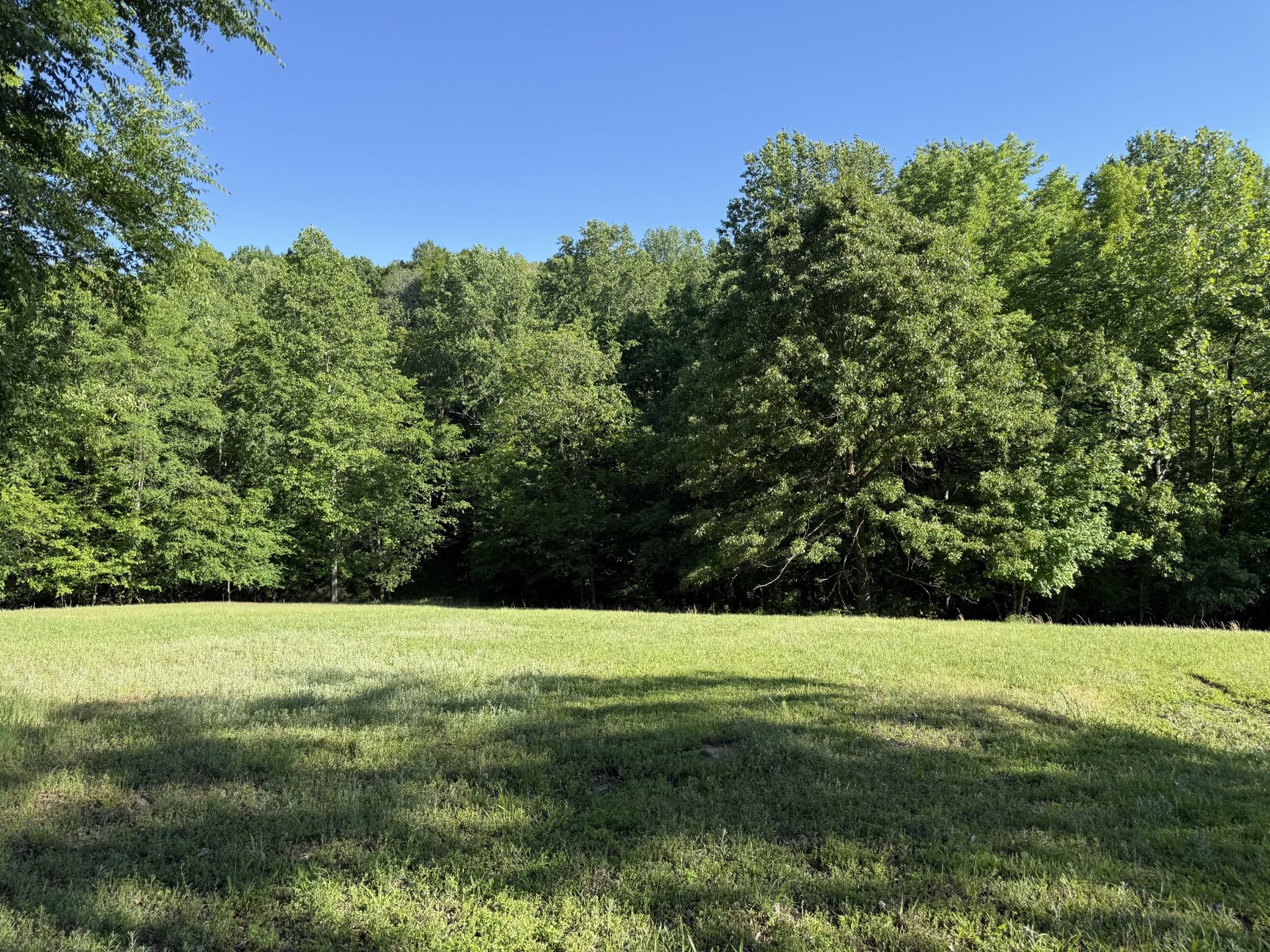 0 Poplar Grove Road McEwen, TN 37101 - Photo 22 of 51 a view of a garden