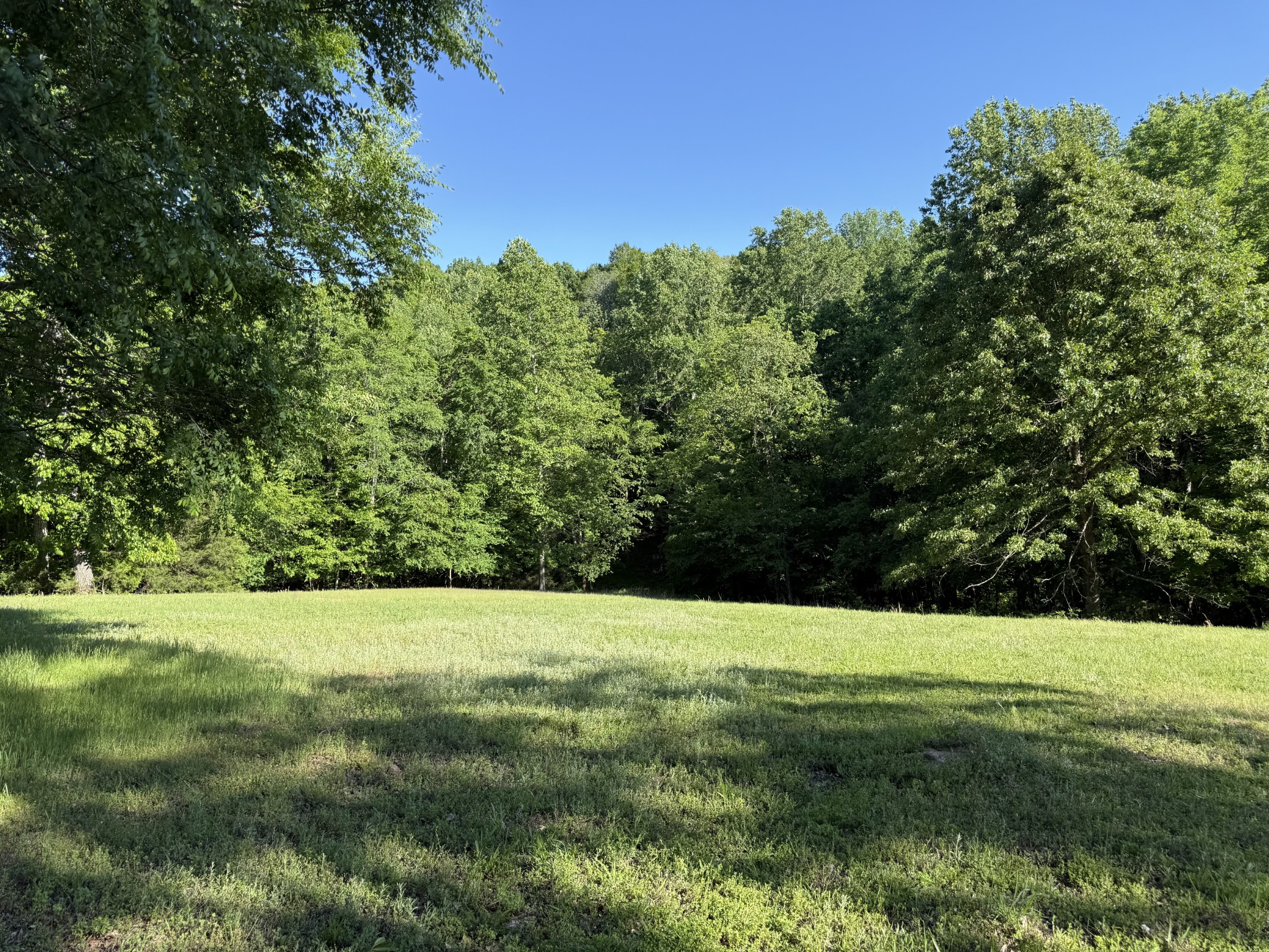 0 Poplar Grove Road McEwen, TN 37101 - Photo 23 of 51 a view of green field with trees in the background