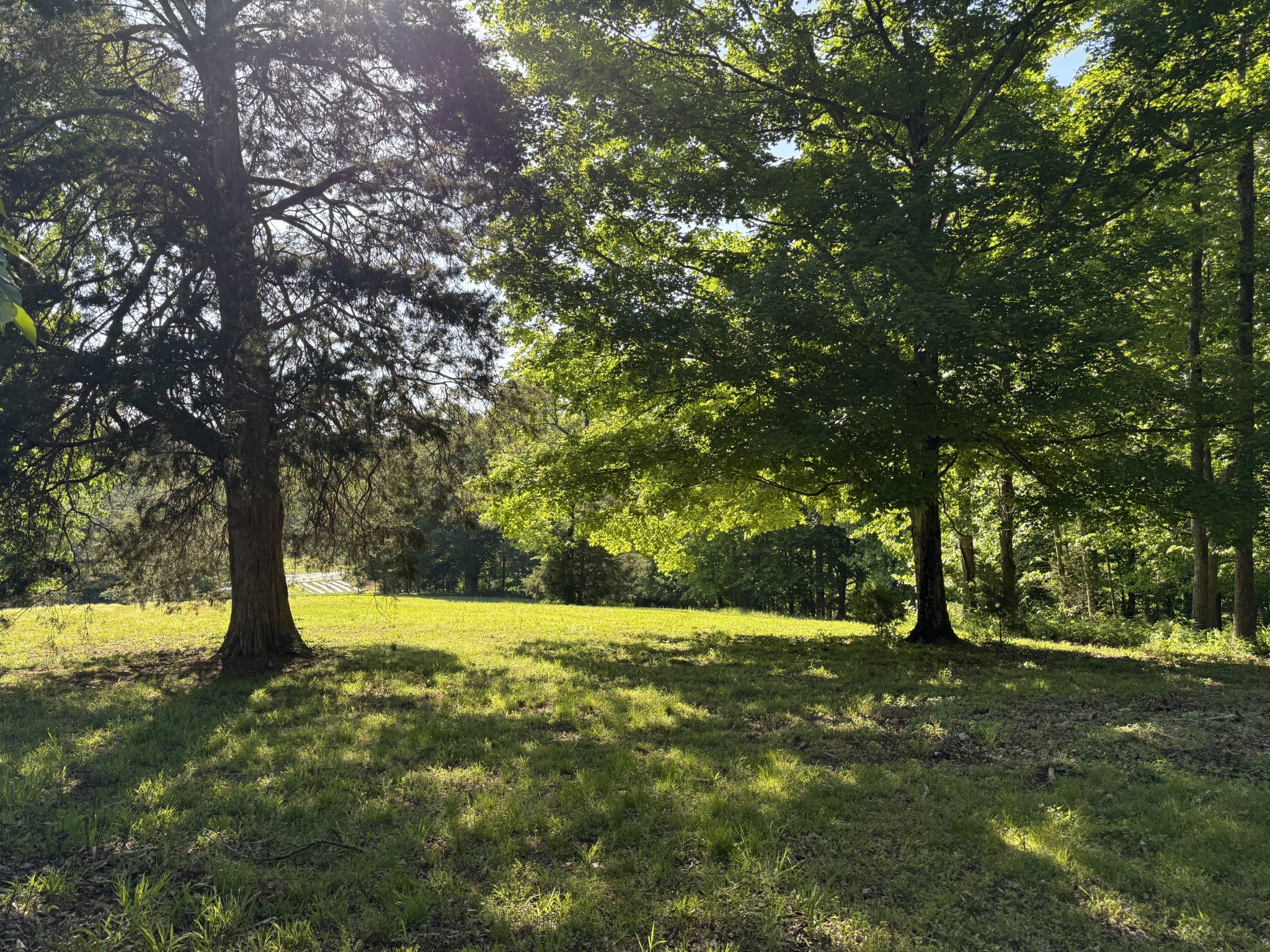 0 Poplar Grove Road McEwen, TN 37101 - Photo 26 of 51 a view of yard with trees
