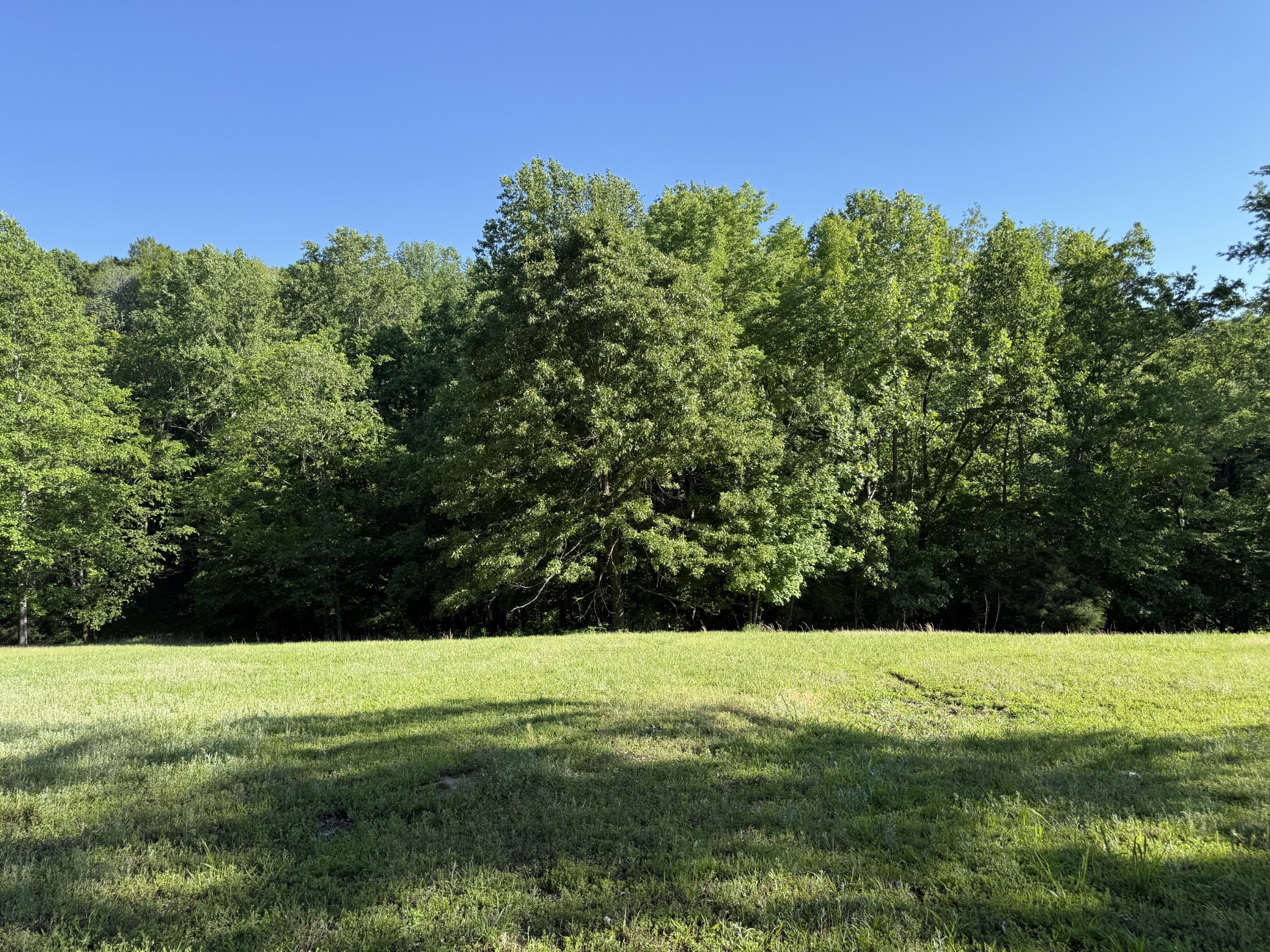 0 Poplar Grove Road McEwen, TN 37101 - Photo 3 of 51 a view of a garden