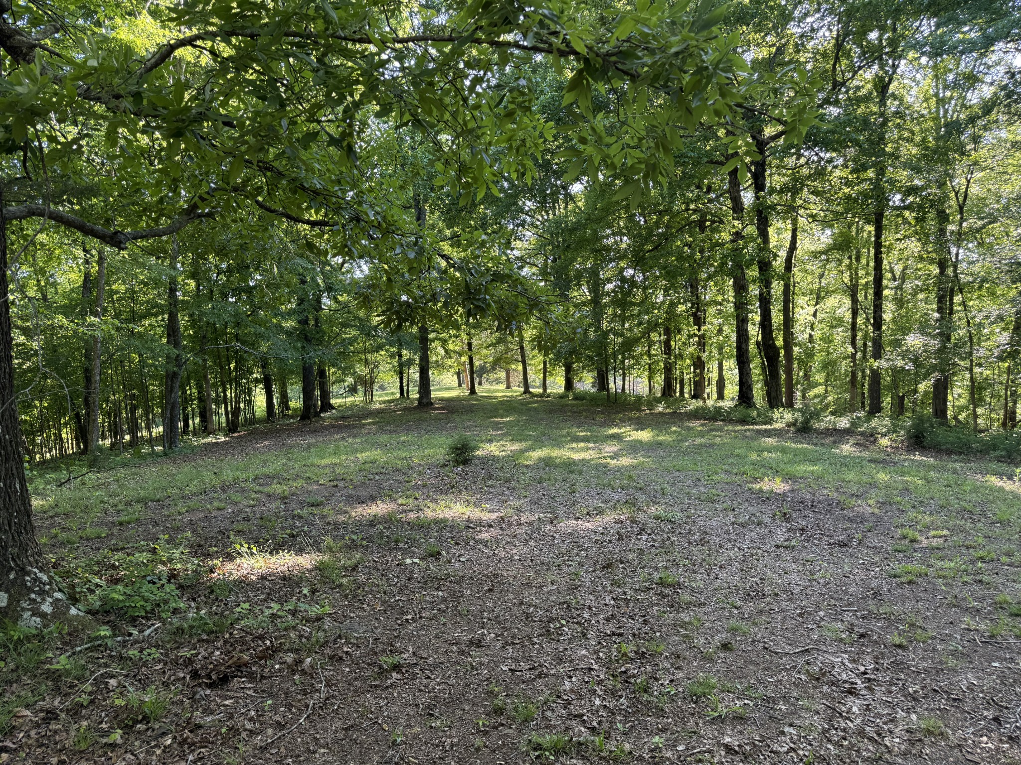 0 Poplar Grove Road McEwen, TN 37101 - Photo 35 of 51 a view of outdoor space with trees