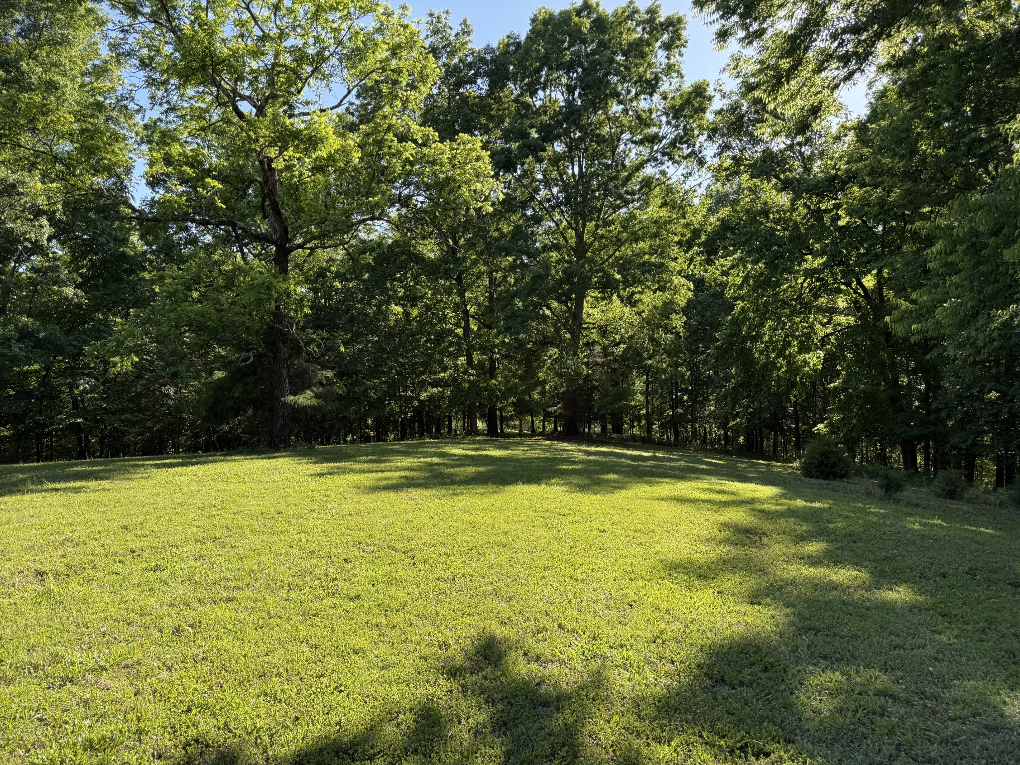 0 Poplar Grove Road McEwen, TN 37101 - Photo 36 of 51 a view of a swimming pool with an outdoor space and seating area