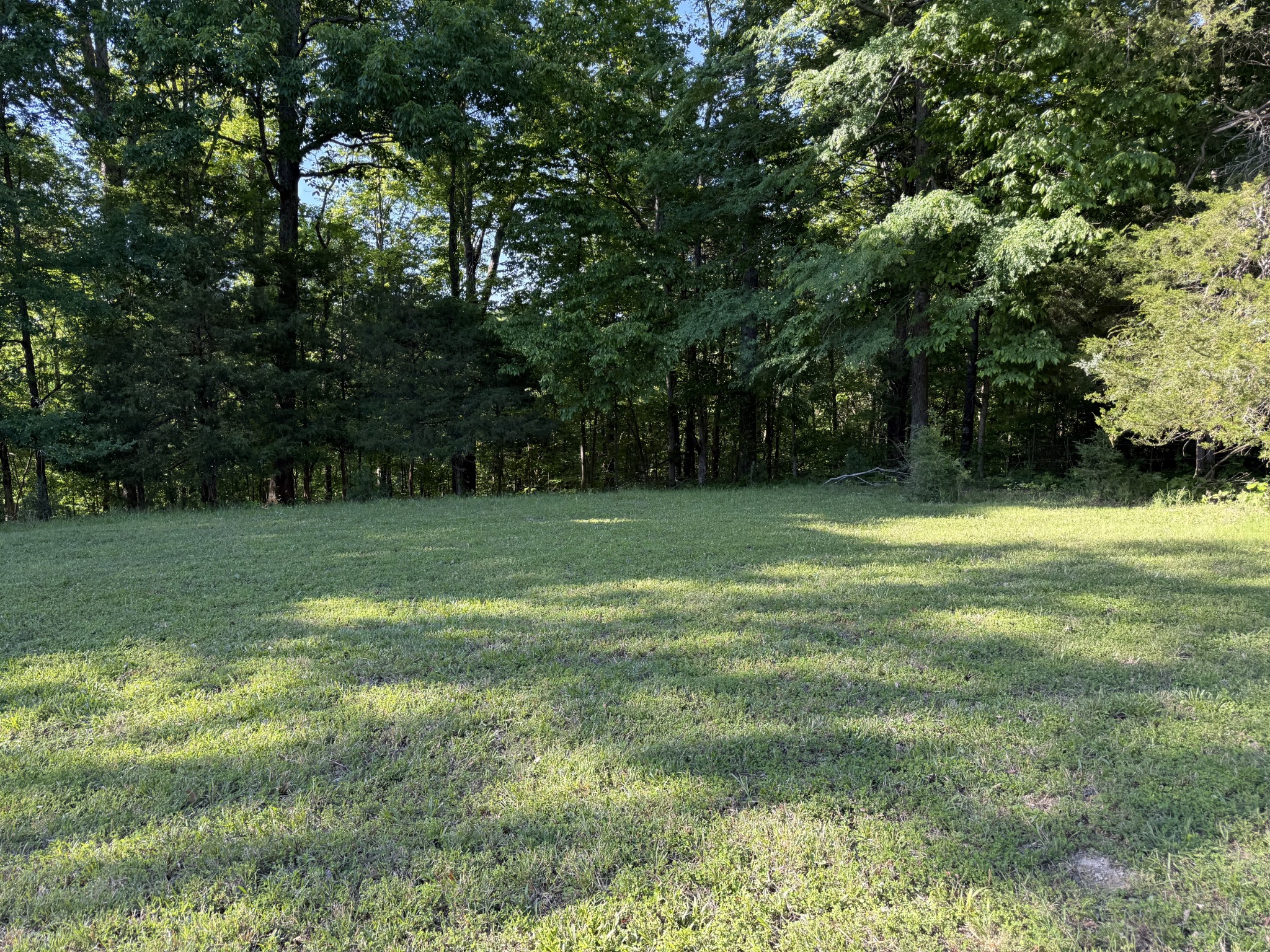 0 Poplar Grove Road McEwen, TN 37101 - Photo 37 of 51 a view of a green field with trees