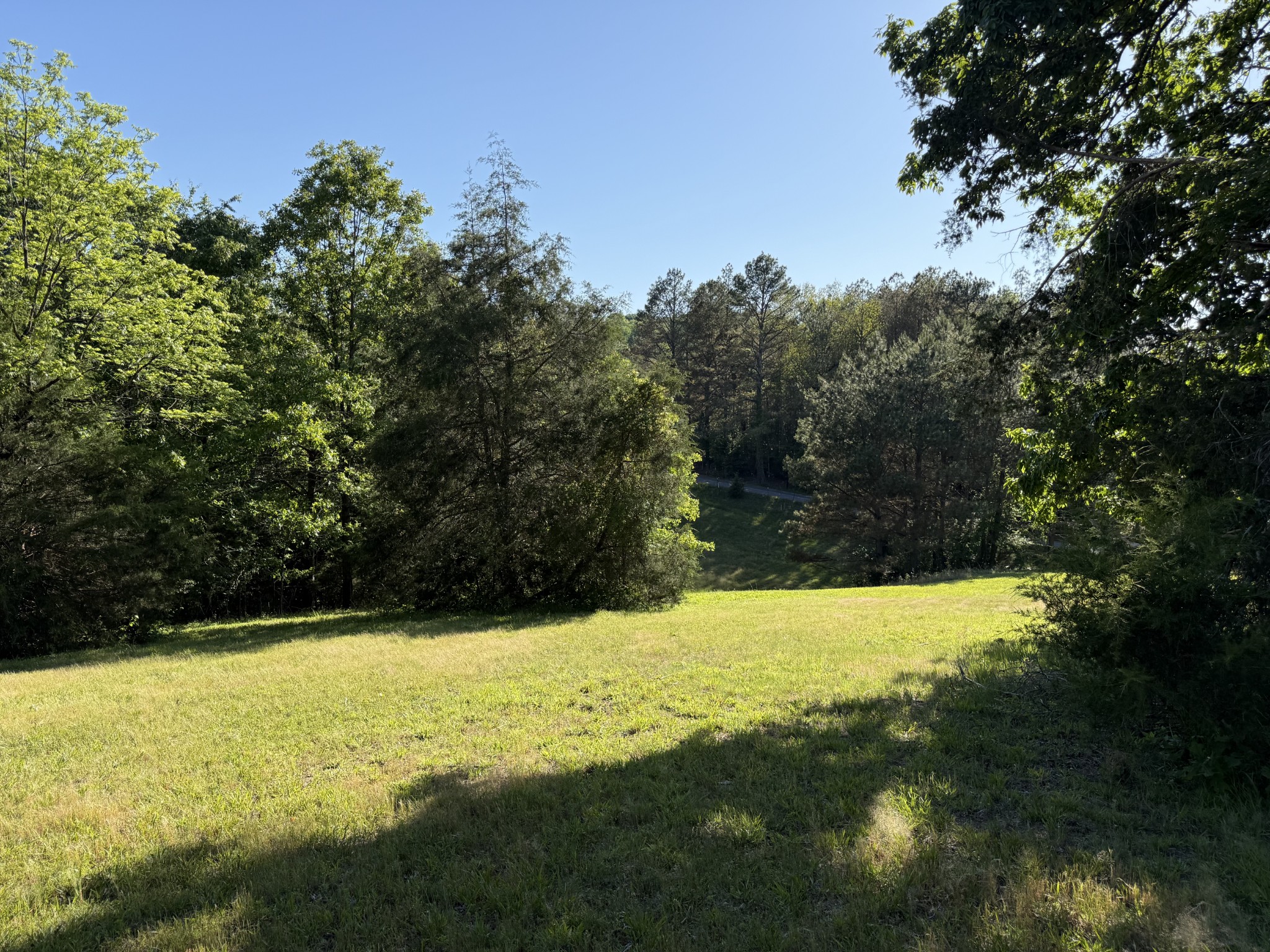 0 Poplar Grove Road McEwen, TN 37101 - Photo 4 of 51 a view of an outdoor space and a yard