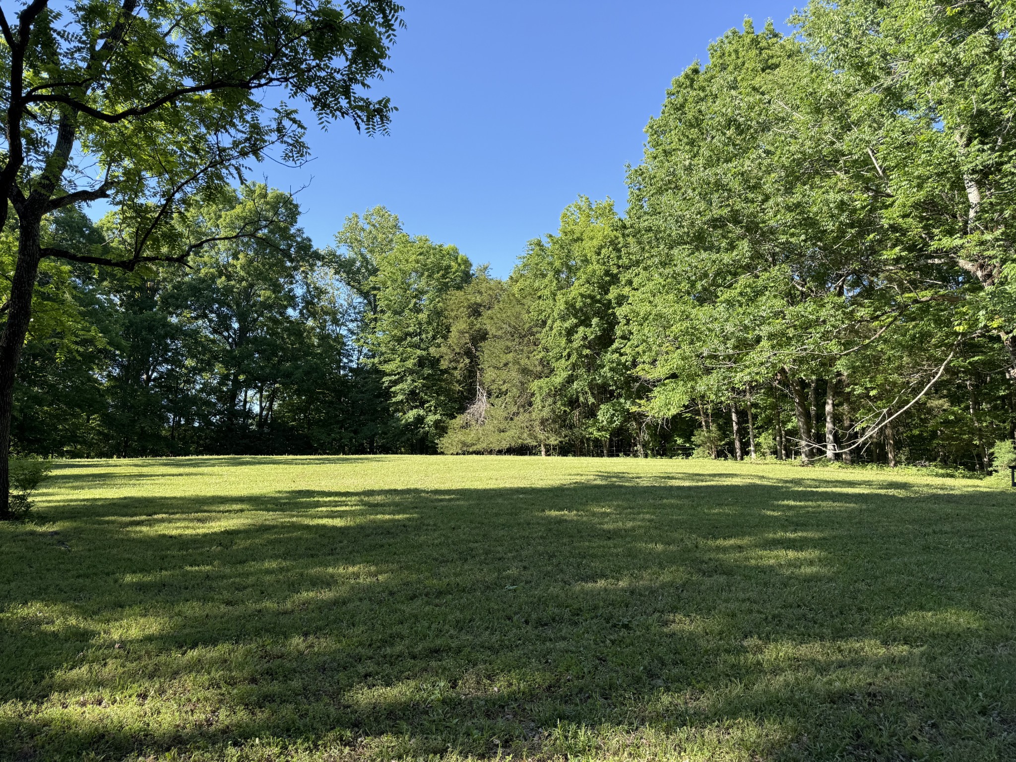 0 Poplar Grove Road McEwen, TN 37101 - Photo 41 of 51 a view of a grassy field with trees