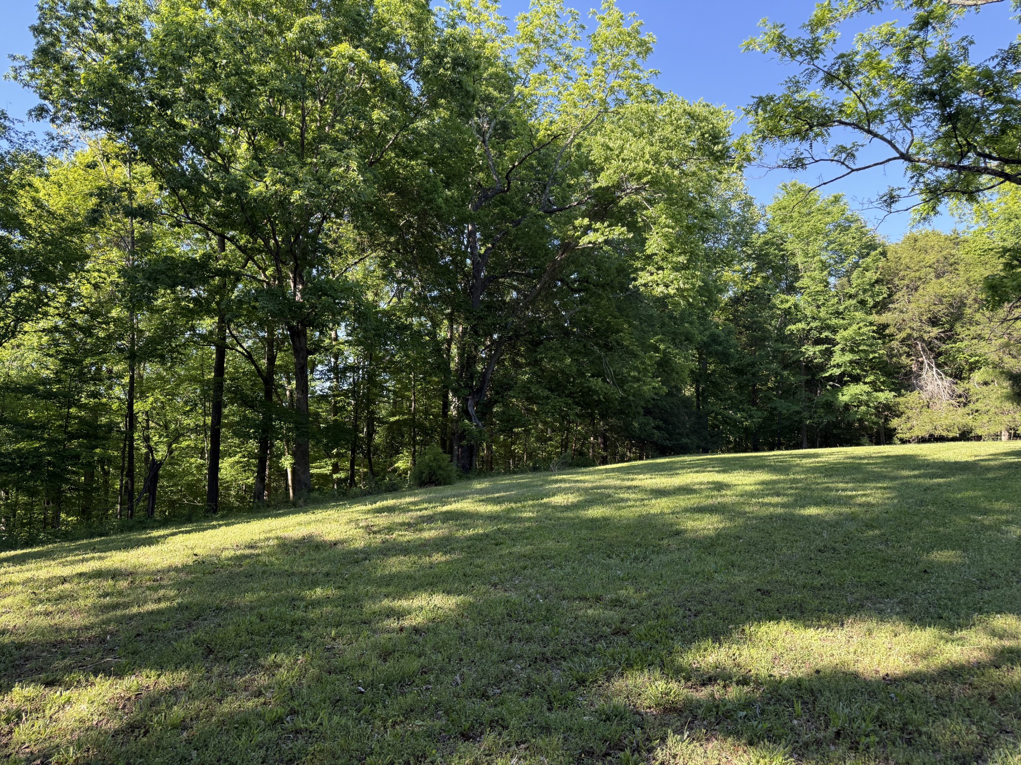 0 Poplar Grove Road McEwen, TN 37101 - Photo 45 of 51 a view of a field with an trees