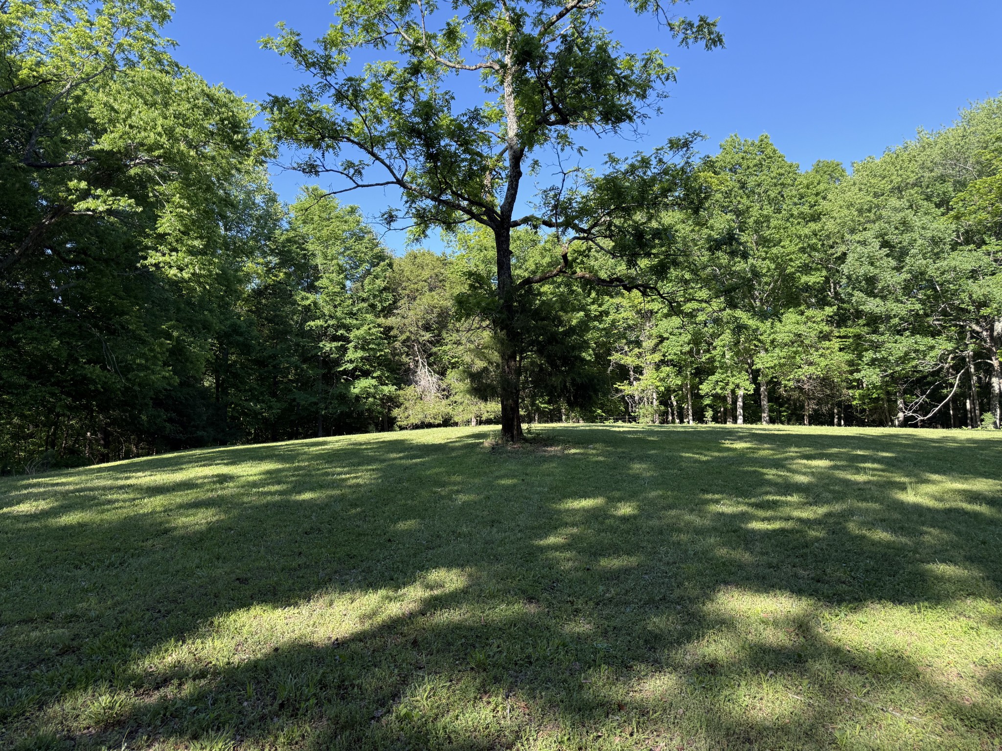 0 Poplar Grove Road McEwen, TN 37101 - Photo 46 of 51 a big yard with lots of green space