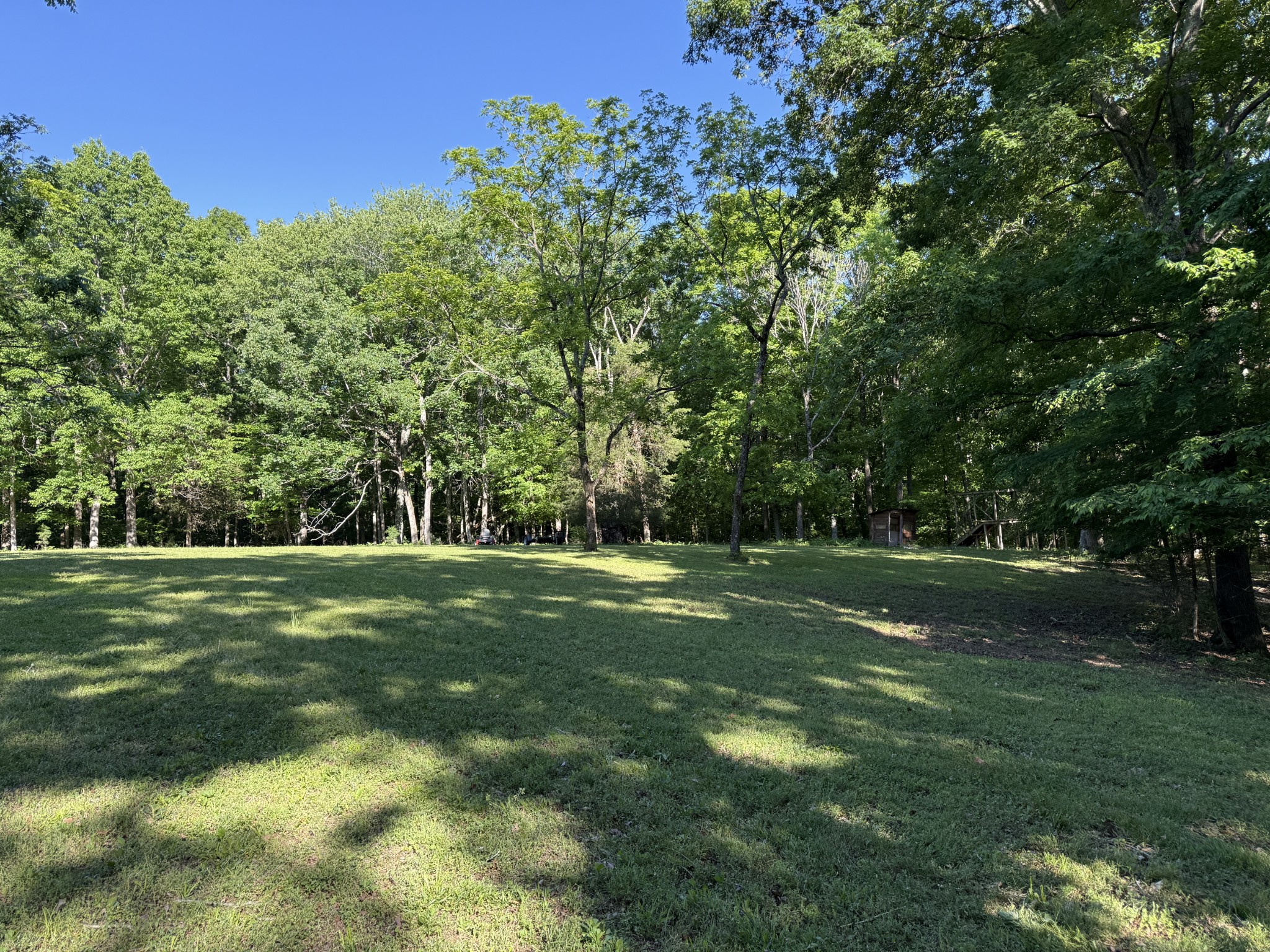 0 Poplar Grove Road McEwen, TN 37101 - Photo 47 of 51 a view of a trees in a yard