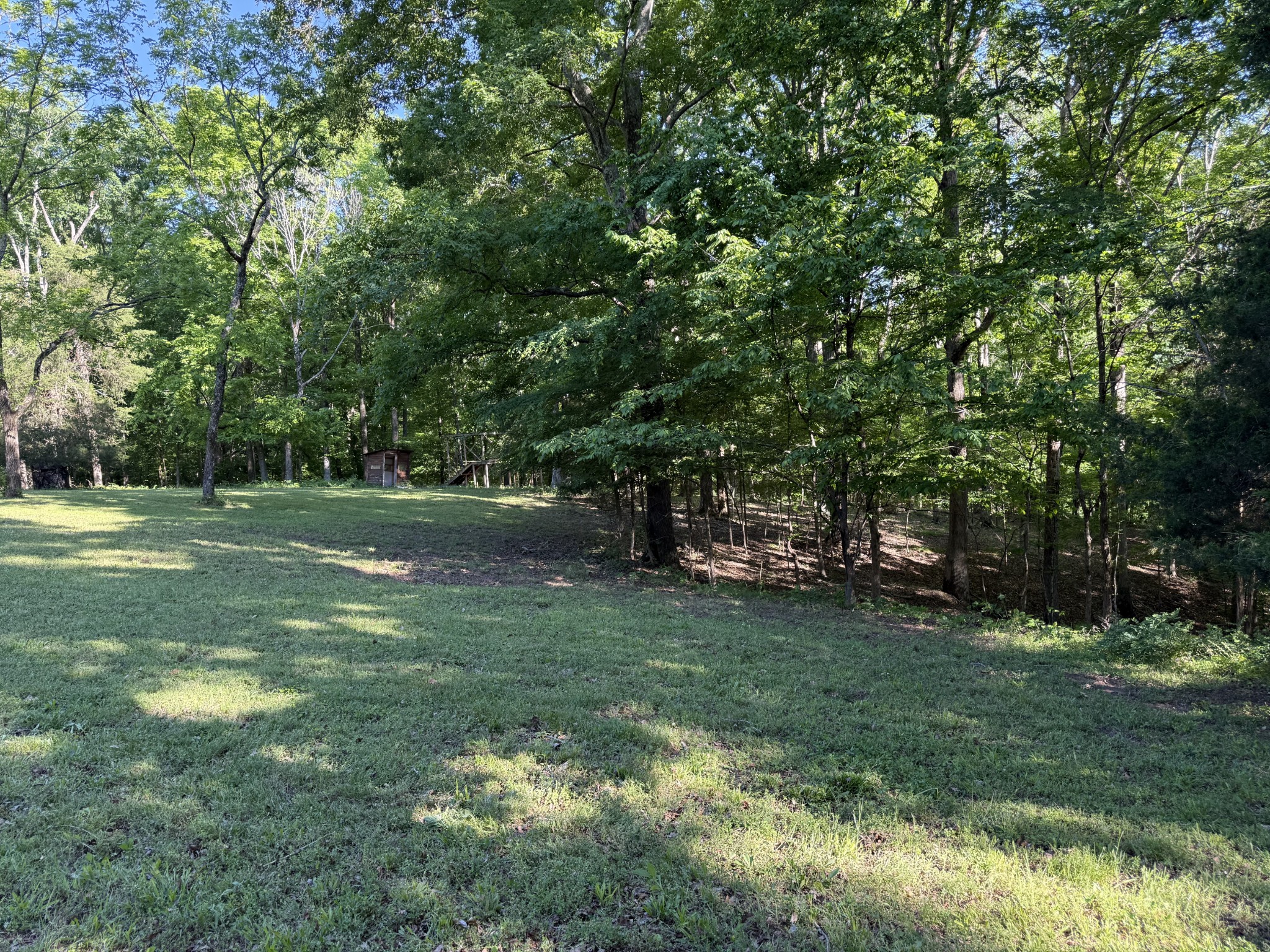 0 Poplar Grove Road McEwen, TN 37101 - Photo 48 of 51 a view of a trees in a yard