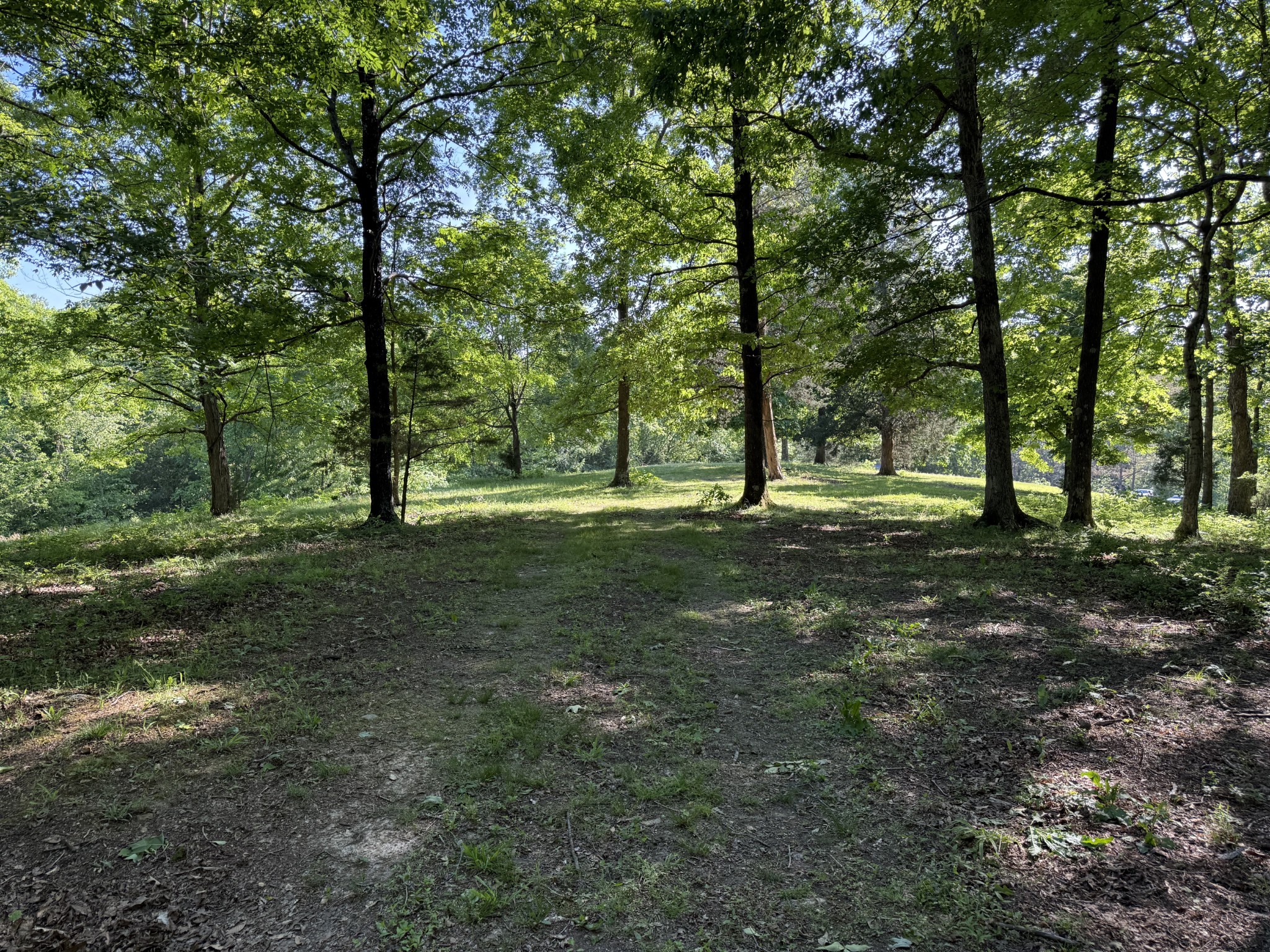 0 Poplar Grove Road McEwen, TN 37101 - Photo 49 of 51 a view of outdoor space with trees all around