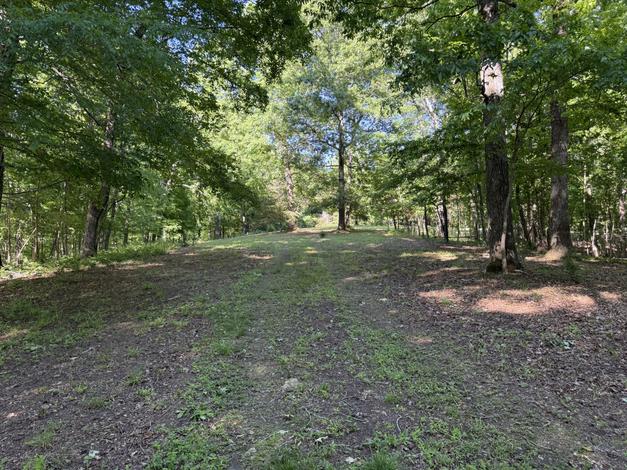 0 Poplar Grove Road McEwen, TN 37101 - Photo 50 of 51 a view of outdoor space with trees