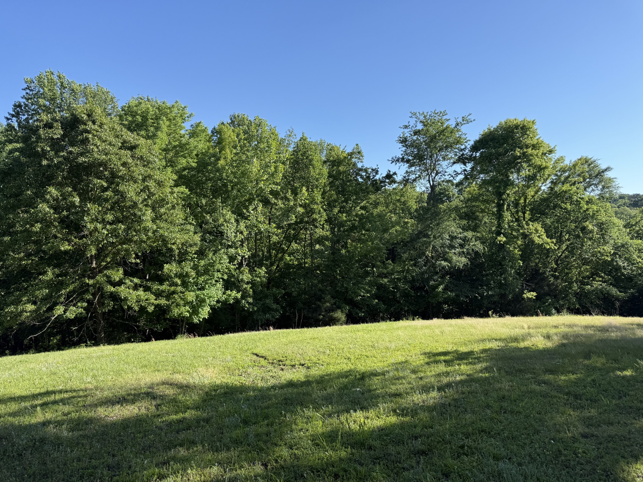 0 Poplar Grove Road McEwen, TN 37101 - Photo 5 of 51 a view of outdoor space with deck and yard