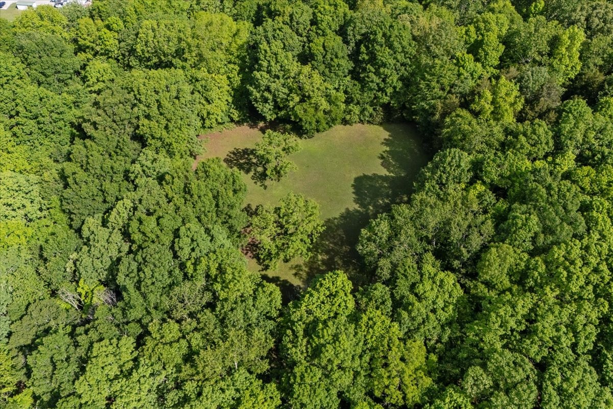 0 Poplar Grove Road McEwen, TN 37101 - Photo 51 of 51 a view of a lush green forest