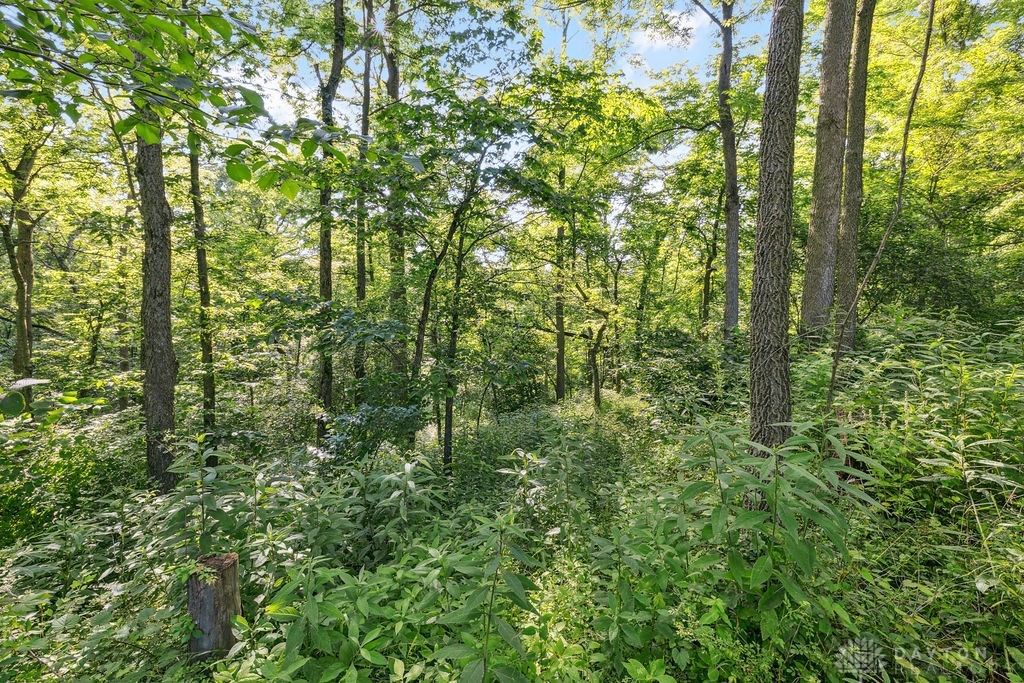 7373 Crowl Road De Graff, OH 43318 - Photo 20 of 88
