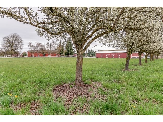 28730 High Pass Road Junction City, OR 97448 - Photo 4 of 32 Gallery Image 4