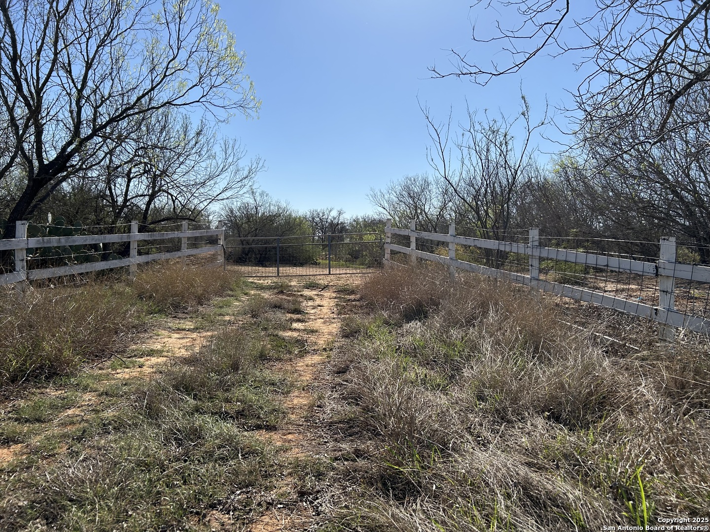 4790 Blackhill Road Floresville, TX 78114 - Photo 1 of 5