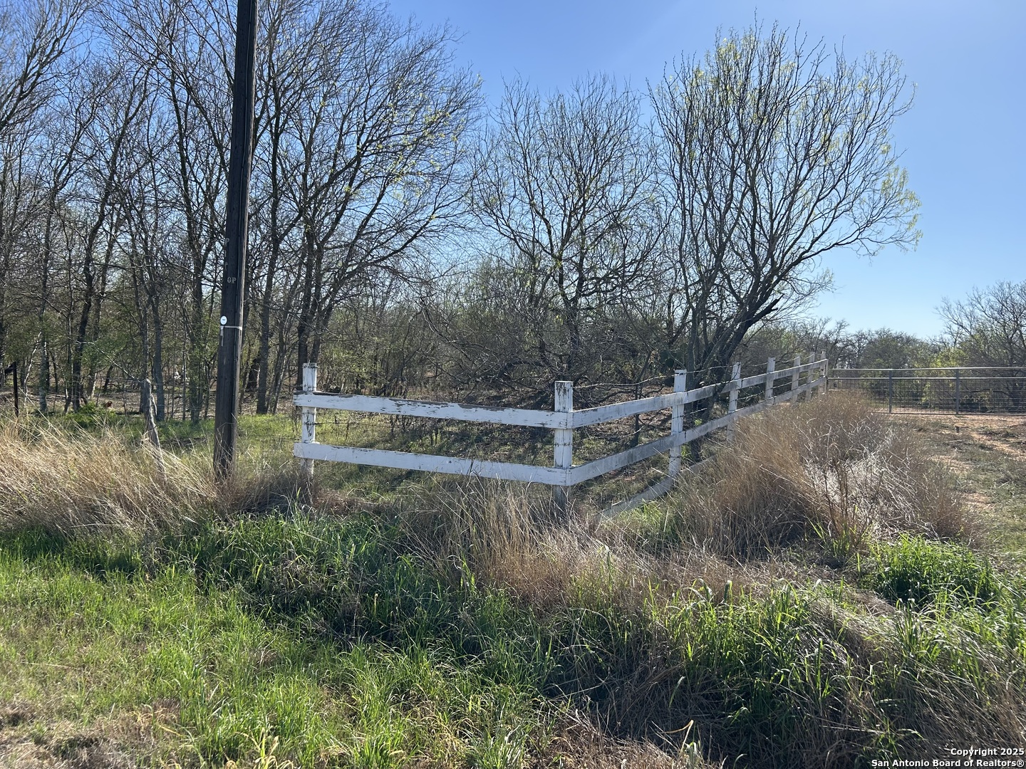 4790 Blackhill Road Floresville, TX 78114 - Photo 2 of 5