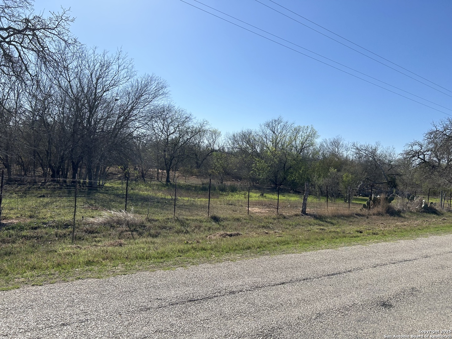 4790 Blackhill Road Floresville, TX 78114 - Photo 3 of 5