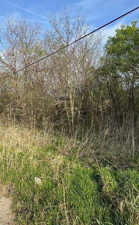 Tbd West Main Street Ladonia, TX 75449 - Photo 11 of 16 a view of a yard