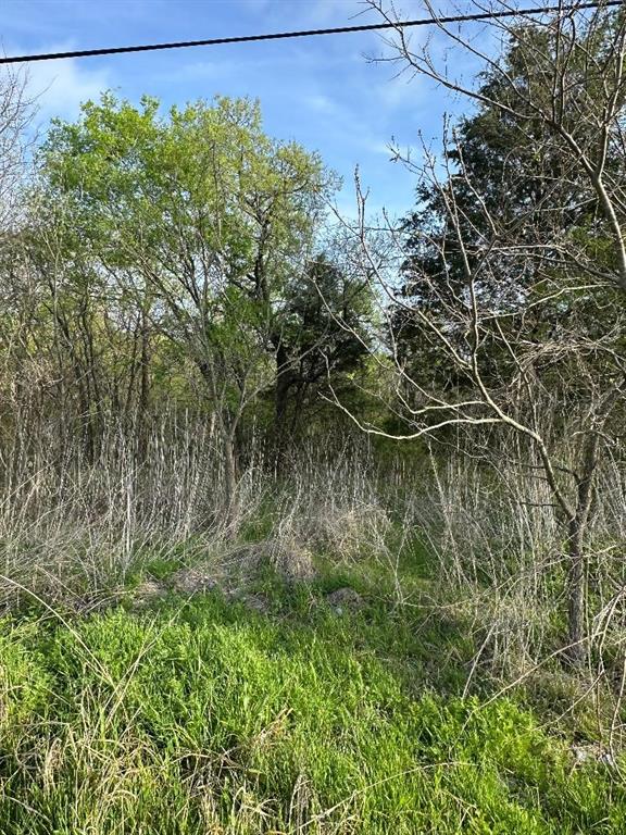 Tbd West Main Street Ladonia, TX 75449 - Photo 12 of 16 a backyard of a house with lots of green space