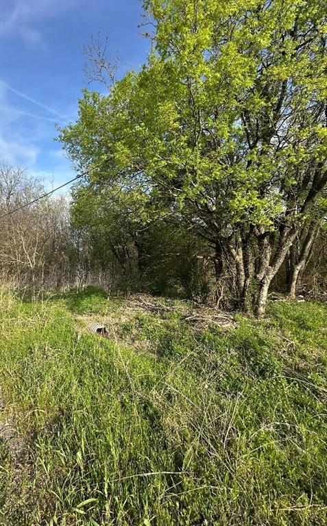 Tbd West Main Street Ladonia, TX 75449 - Photo 13 of 16 a view of a lush green field