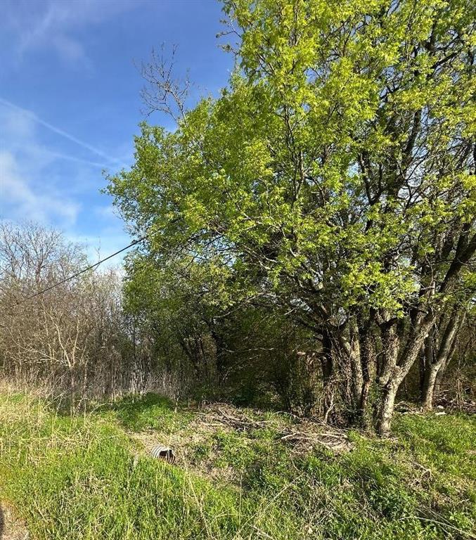Tbd West Main Street Ladonia, TX 75449 - Photo 6 of 16 a view of a yard