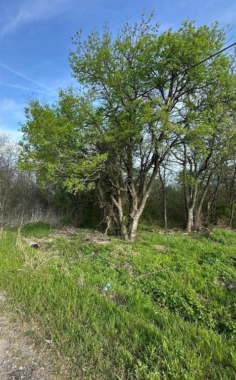 Tbd West Main Street Ladonia, TX 75449 - Photo 7 of 16 a backyard of a house with lots of green space