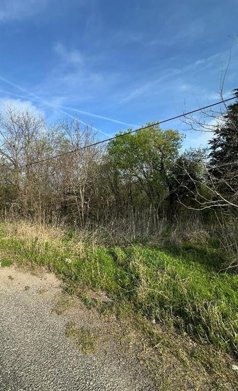 Tbd West Main Street Ladonia, TX 75449 - Photo 8 of 16 a view of a yard with a tree