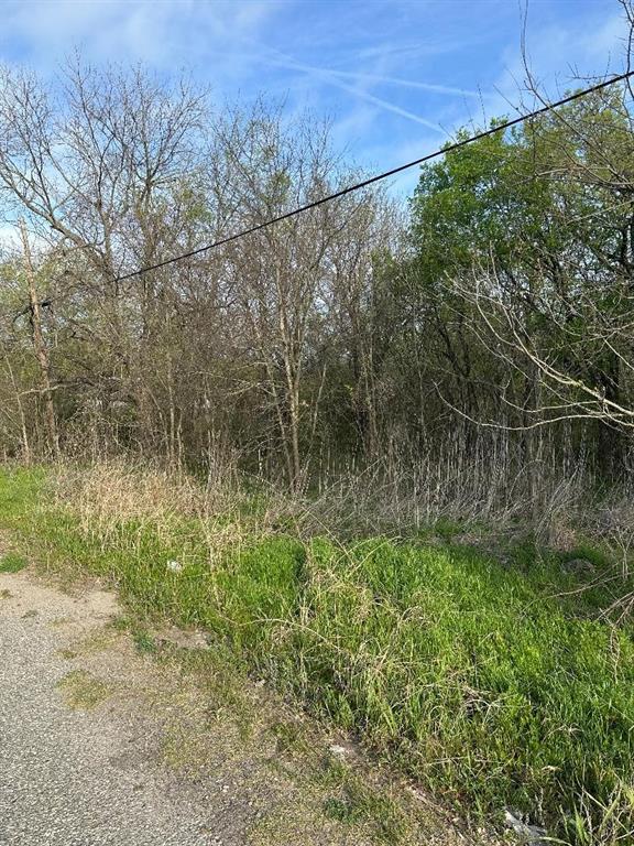 Tbd West Main Street Ladonia, TX 75449 - Photo 9 of 16 a view of a yard with a tree