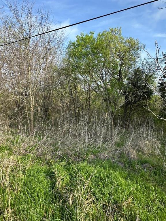 Tbd West Main Street Ladonia, TX 75449 - Photo 10 of 16